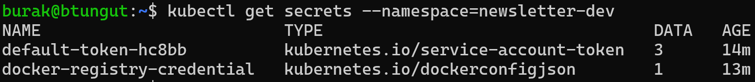Secrets in newsletter-dev namespace